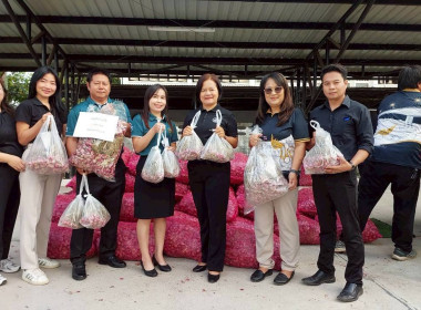สำนักงานสหกรณ์จังหวัดหนองคายกระจายหอมแดง(ปึ๋ง) ... พารามิเตอร์รูปภาพ 12